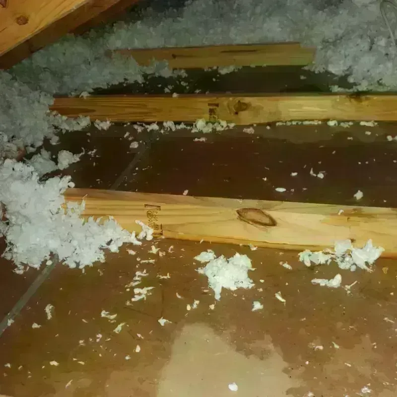 Attic Water Damage in Hanover, MN