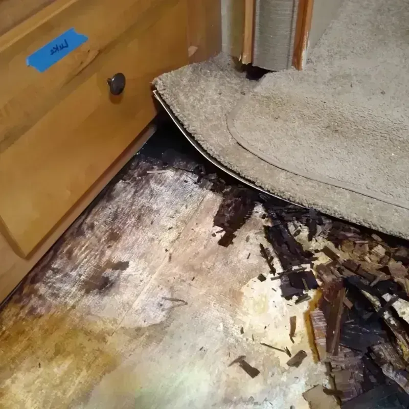 Wood Floor Water Damage in Hanover, MN